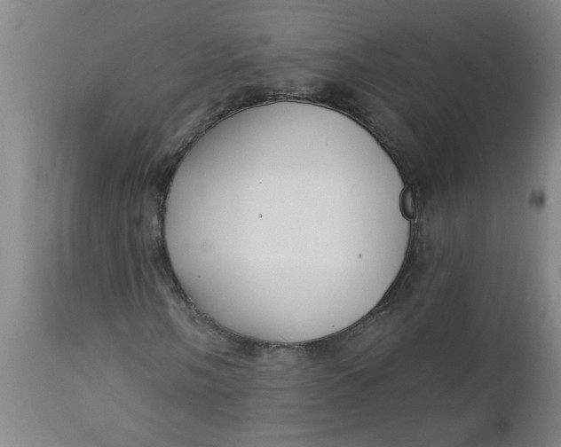 X0000112461058200909071104