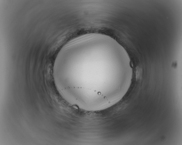 X0000112461059200909071104