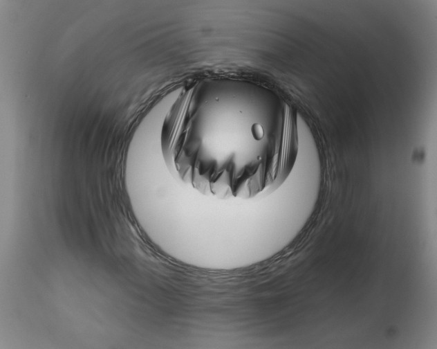 X0000112461060200909071104