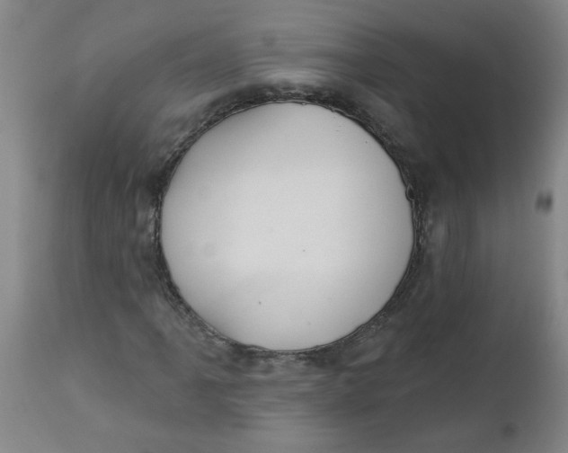 X0000112461061200909071104