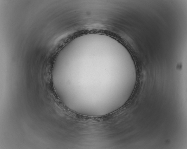 X0000112461063200909071104