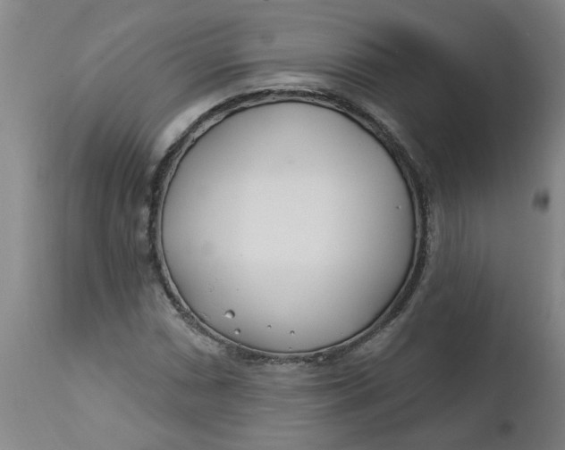 X0000112461066200909071104