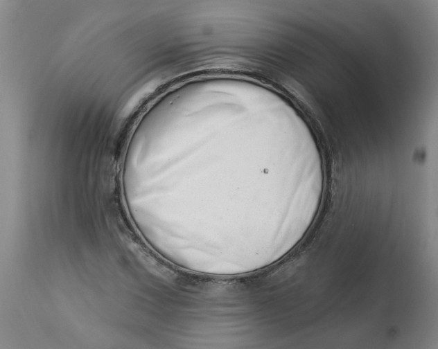 X0000112461067200909071104