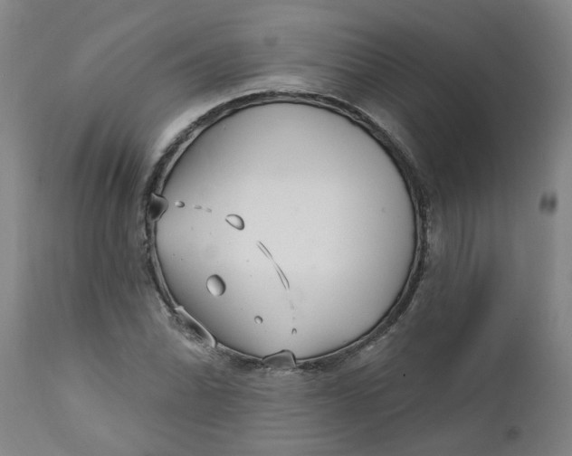 X0000112461070200909071104