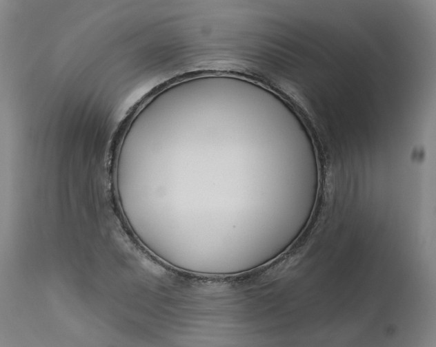 X0000112461071200909071104