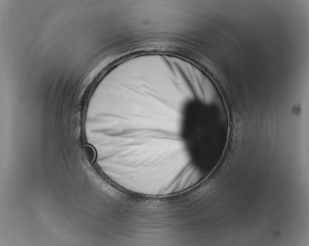 X0000112461075200909071104