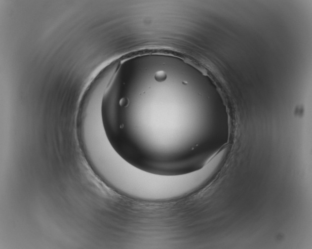 X0000112461076200909071104