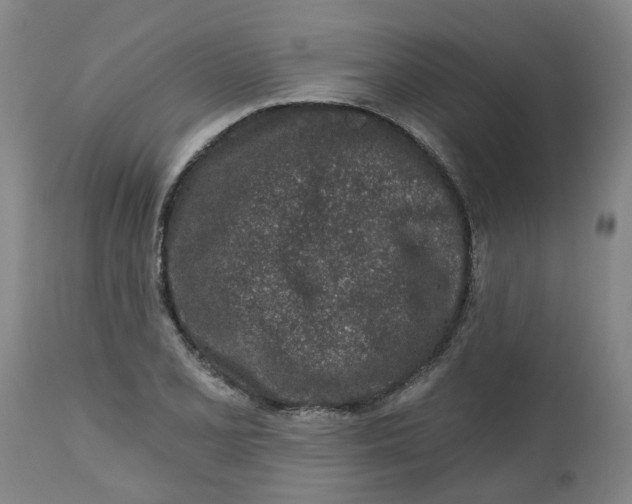 X0000112461077200909071104