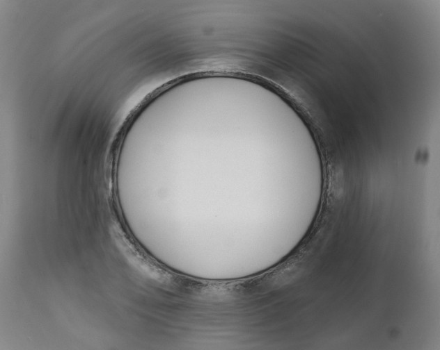 X0000112461078200909071104