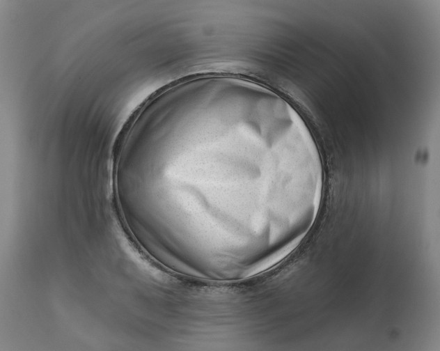 X0000112461079200909071104