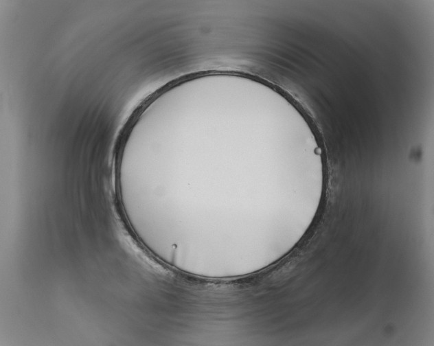 X0000112461080200909071104