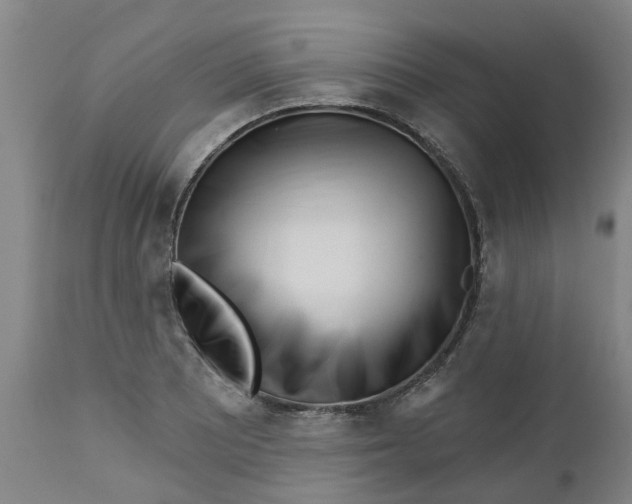 X0000112461081200909071104