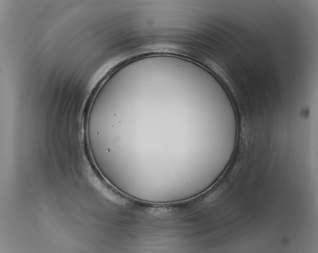 X0000112461082200909071104