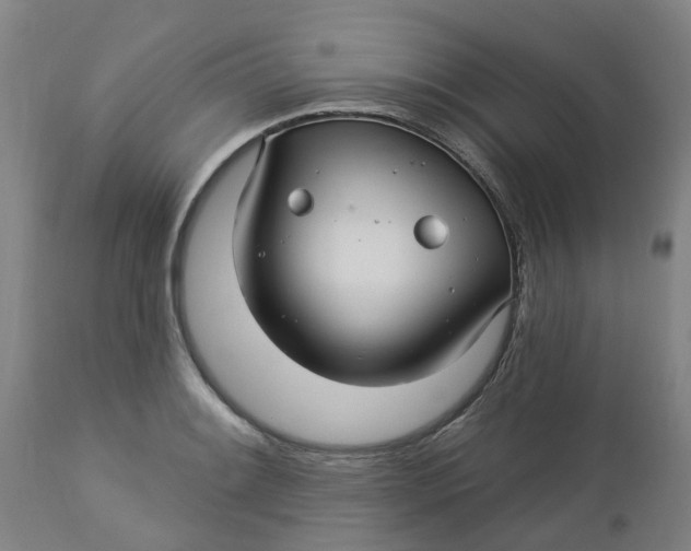 X0000112461084200909071104