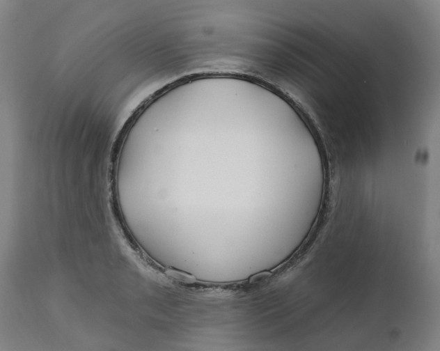 X0000112461085200909071104