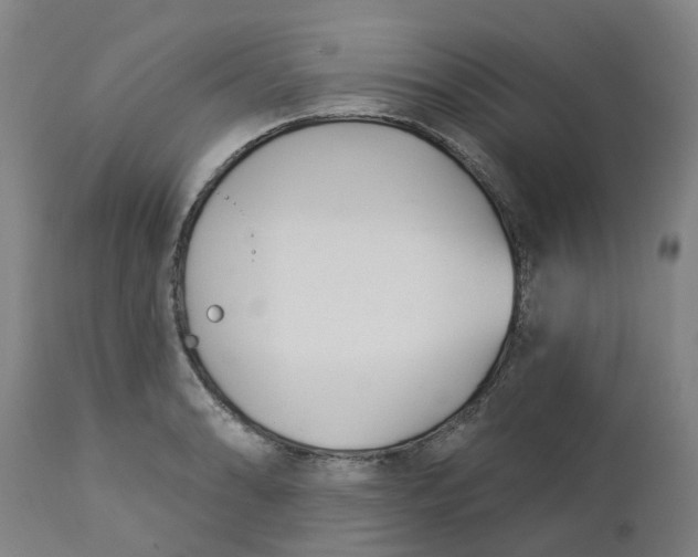 X0000112461086200909071104