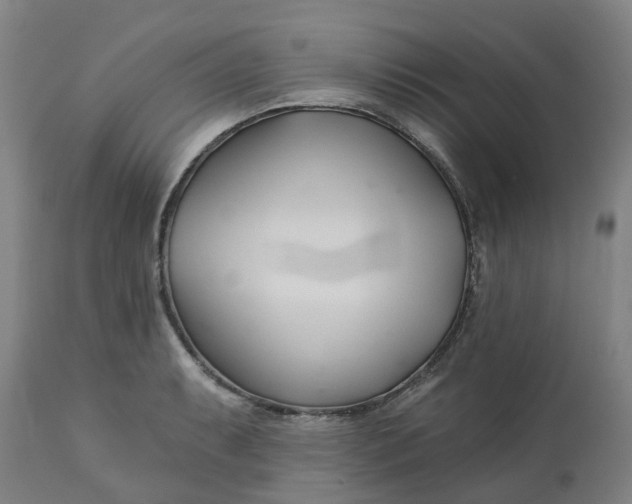 X0000112461087200909071104