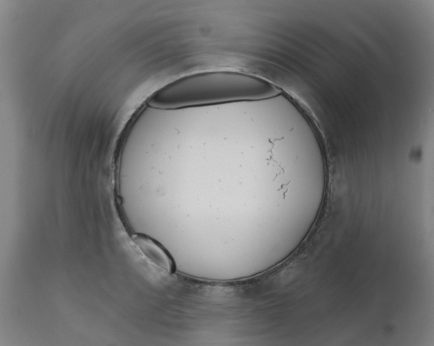 X0000112461088200909071104