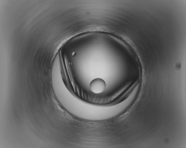 X0000112461089200909071104