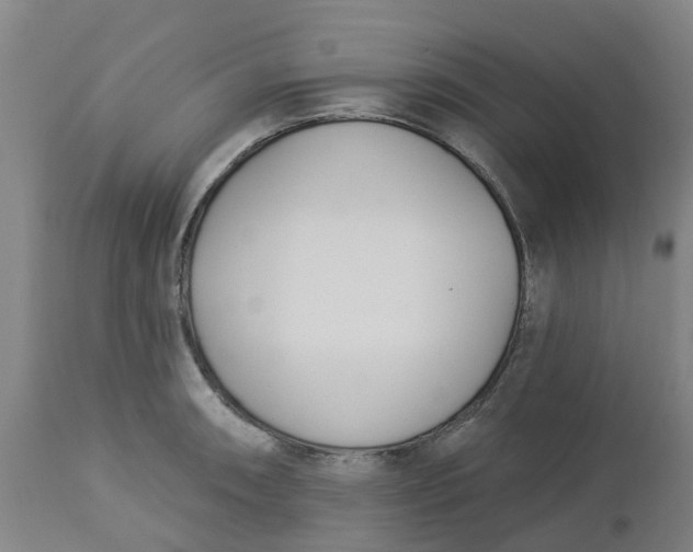 X0000112461090200909071104