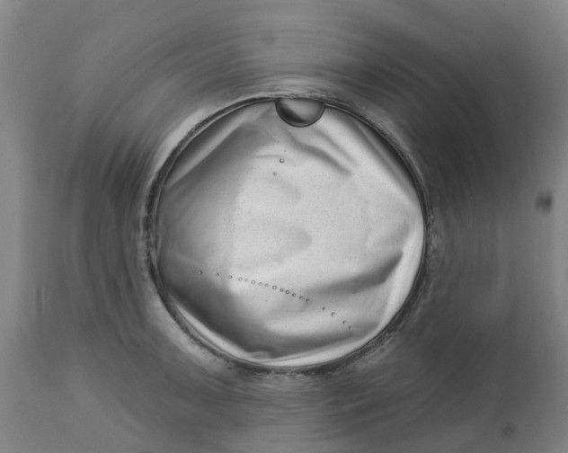 X0000112461091200909071104