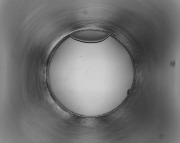 X0000112461092200909071104