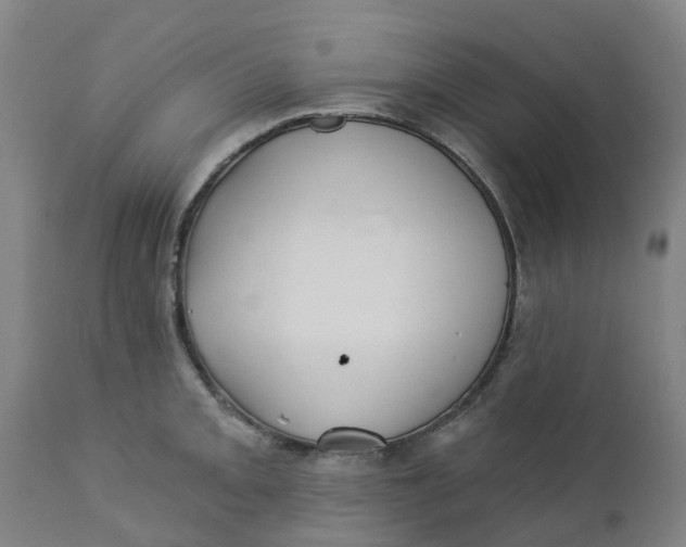 X0000112461093200909071104