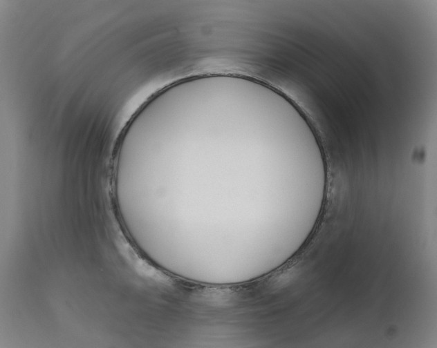 X0000112461094200909071104