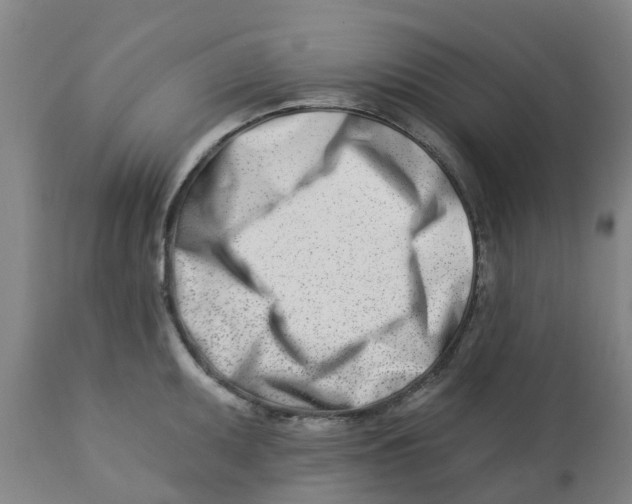 X0000112461095200909071104