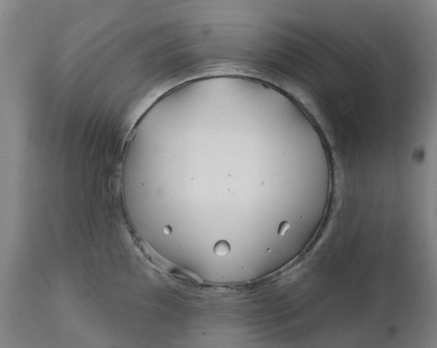 X0000112461097200909071104