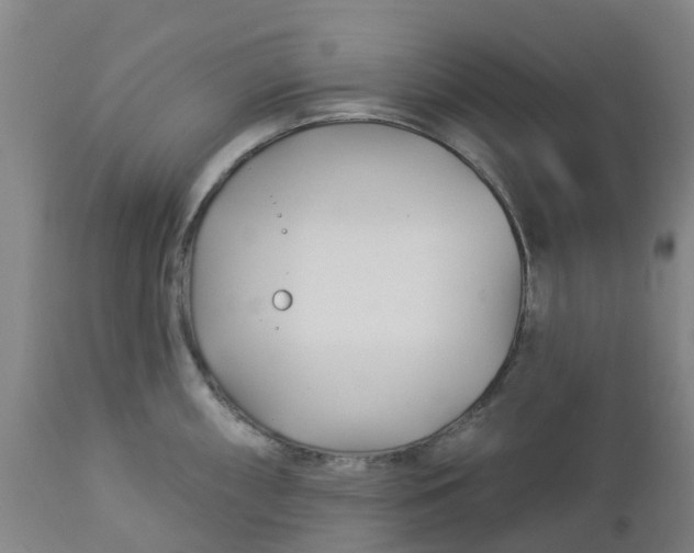 X0000112461098200909071104