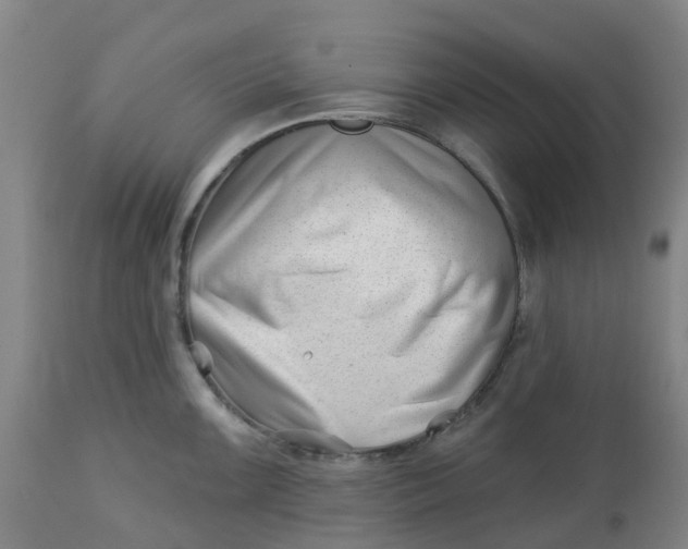 X0000112461099200909071104