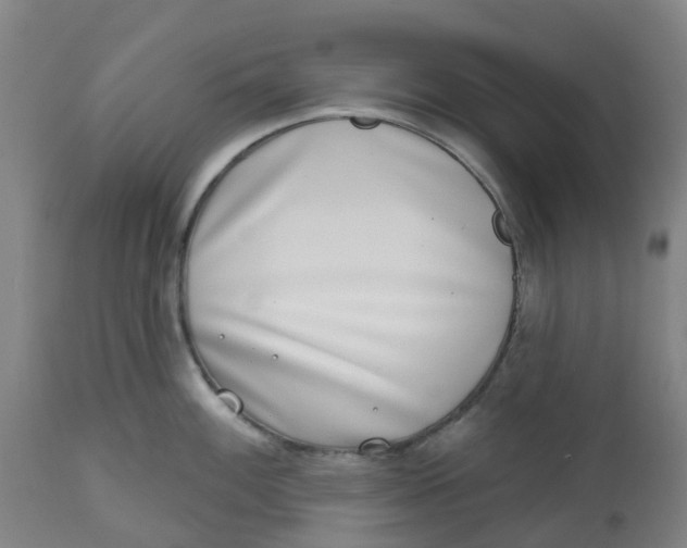 X0000112461100200909071104