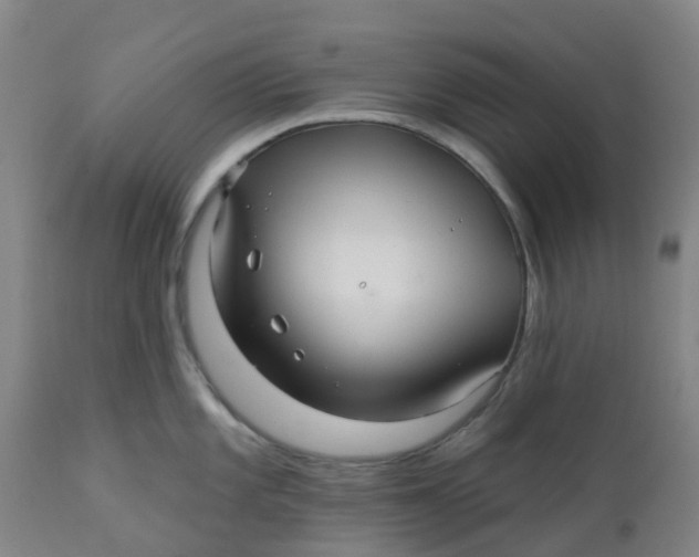 X0000112461101200909071104