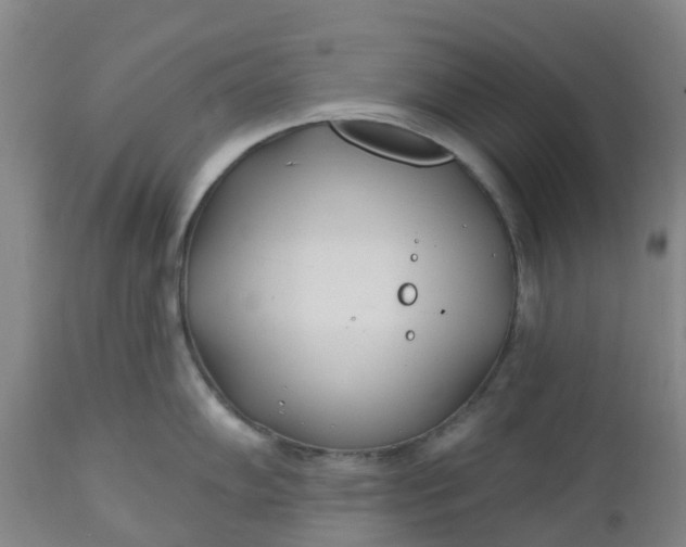 X0000112461102200909071104