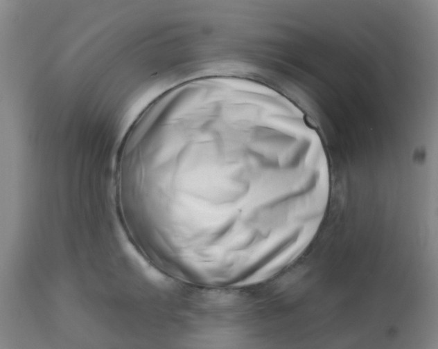 X0000112461103200909071104