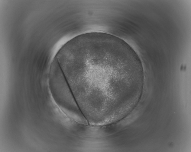 X0000112461104200909071104