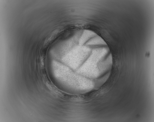 X0000112461106200909071103