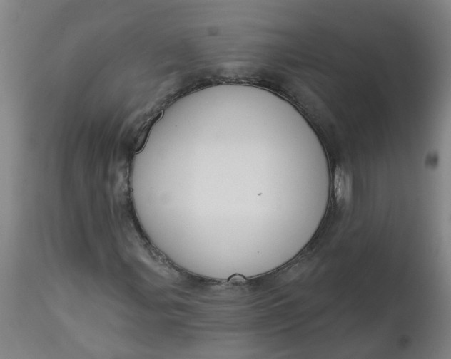 X0000112461107200909071103