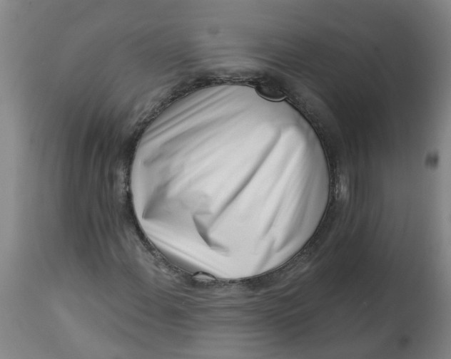 X0000112461108200909071103