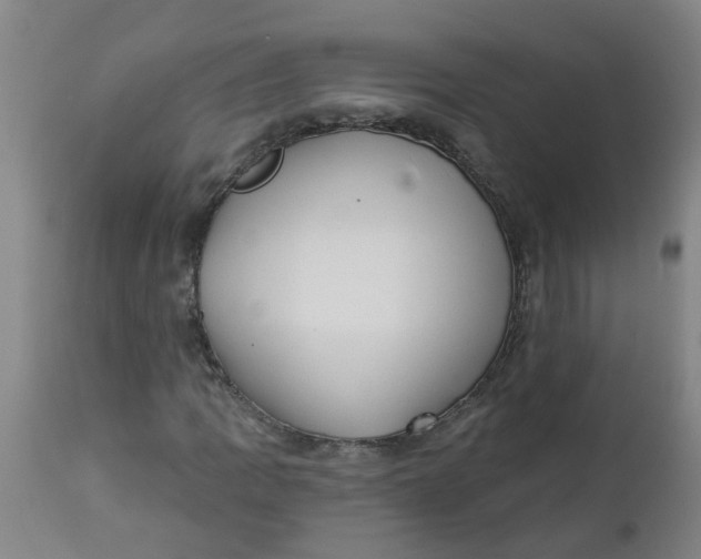 X0000112461109200909071103