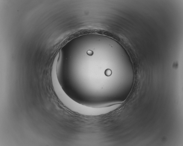 X0000112461110200909071103