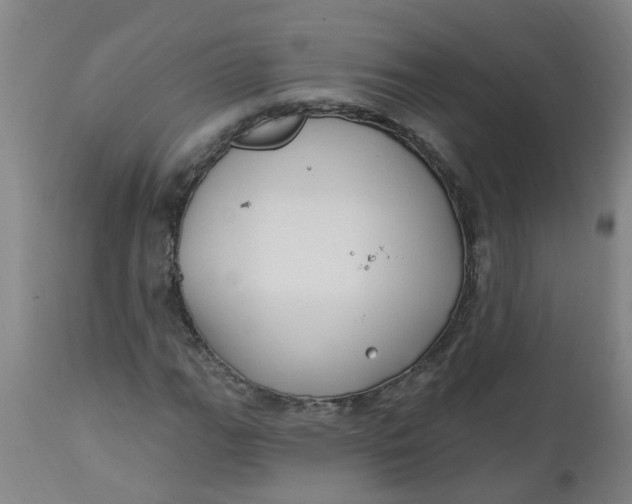 X0000112461111200909071103