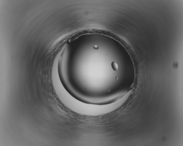 X0000112461112200909071103