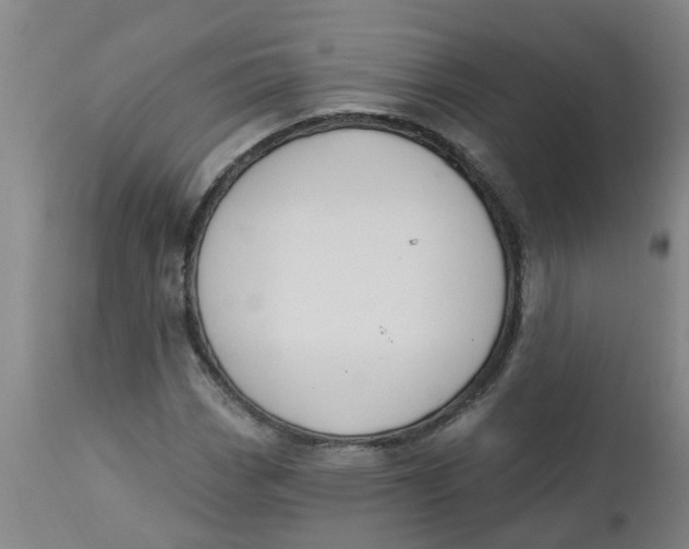 X0000112461113200909071103