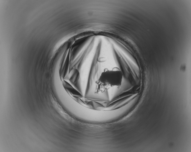 X0000112461114200909071103