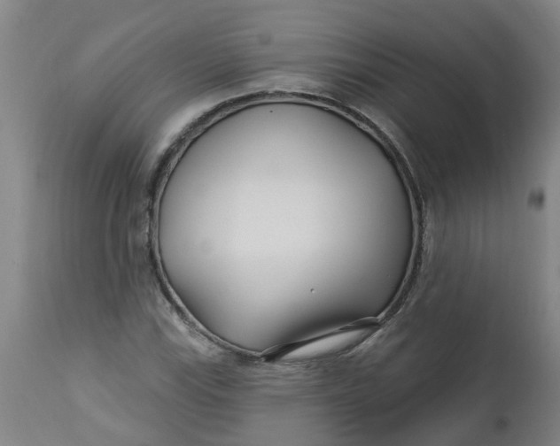 X0000112461115200909071103