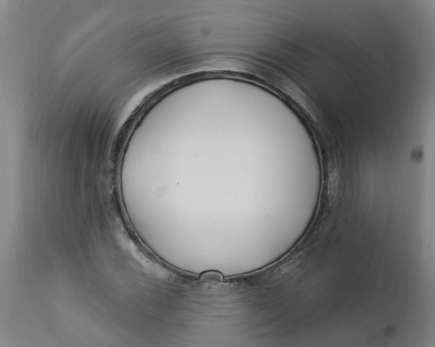 X0000112461116200909071103