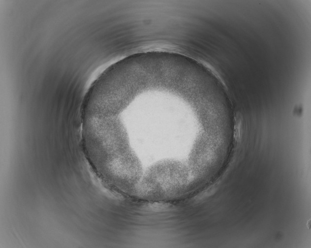 X0000112461117200909071103