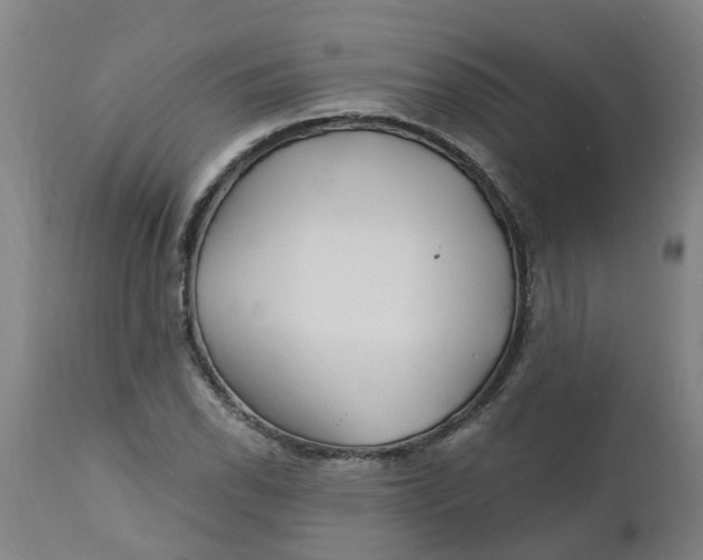 X0000112461118200909071103